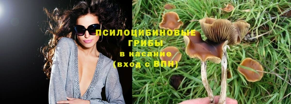 эйфоретик Абдулино