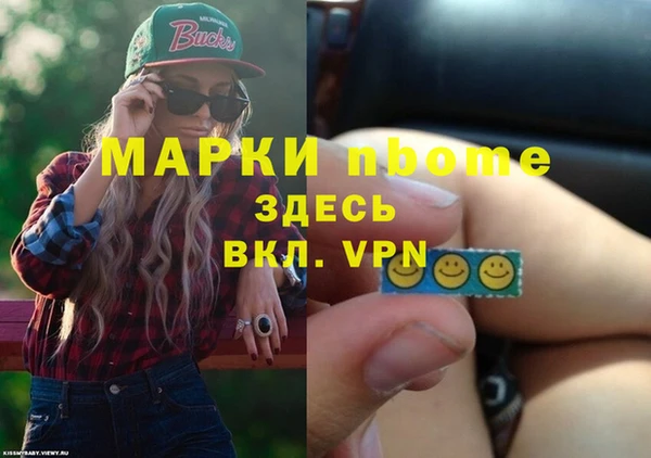 индика Кинешма