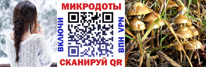 как найти закладки  Ужур  Псилоцибиновые грибы мицелий 